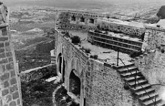 ORAN 02429
